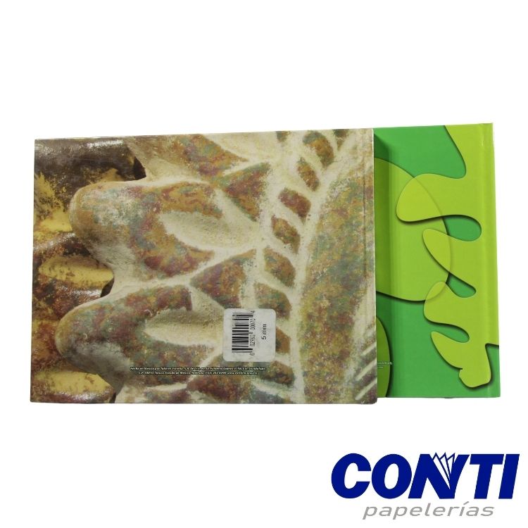 Cuaderno pasta dura Raya Estrella Francés 96 Hojas Multicolor 078