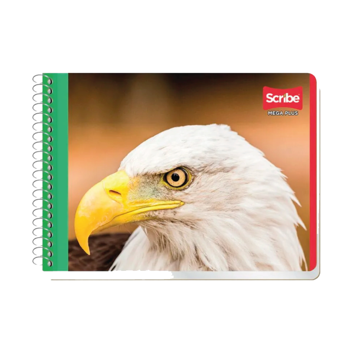 [4] Cuaderno espiral Mega plus raya Scribe Italiano 100 hojas Multicolor W4530